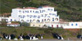 Padonia Apartments